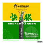 柏冠网线：锚定数字时代网络基建以硬核